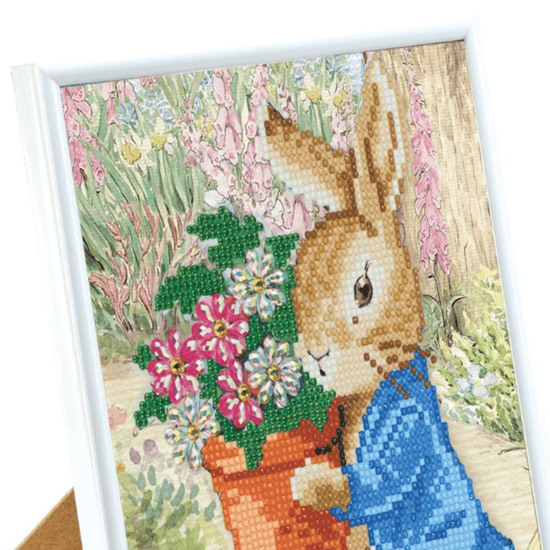 "Peter Rabbit" Crystal Art Framed Kit 21x25cm