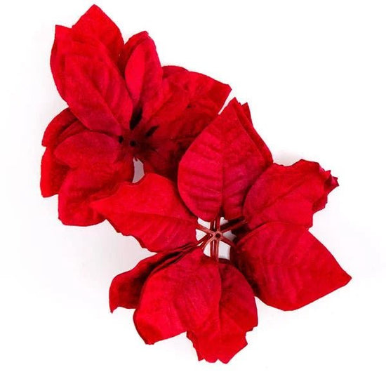 Forever Flowerz Poinsettia Plant Pot Kit - Red Flowers