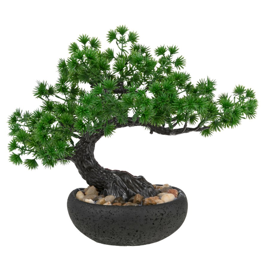 Forever Flowerz Pine Bonsai Tree Kit complete