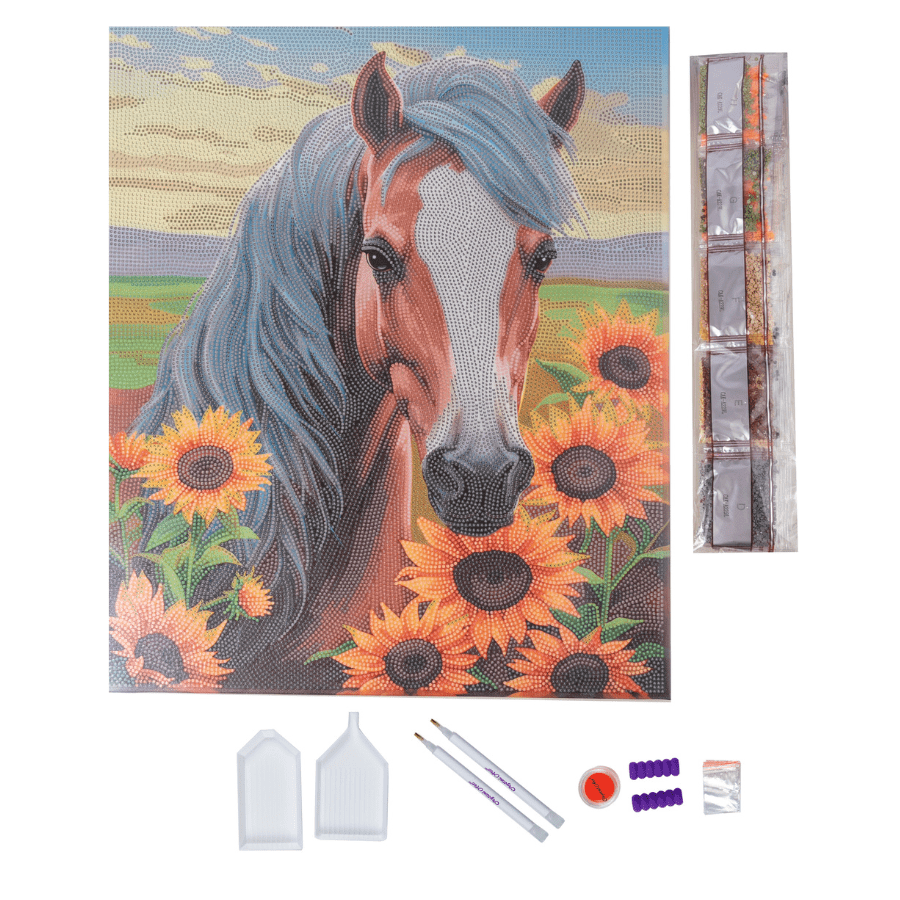 Horse With Sunflowers Crystal Art Canvas Kit 35x45 3