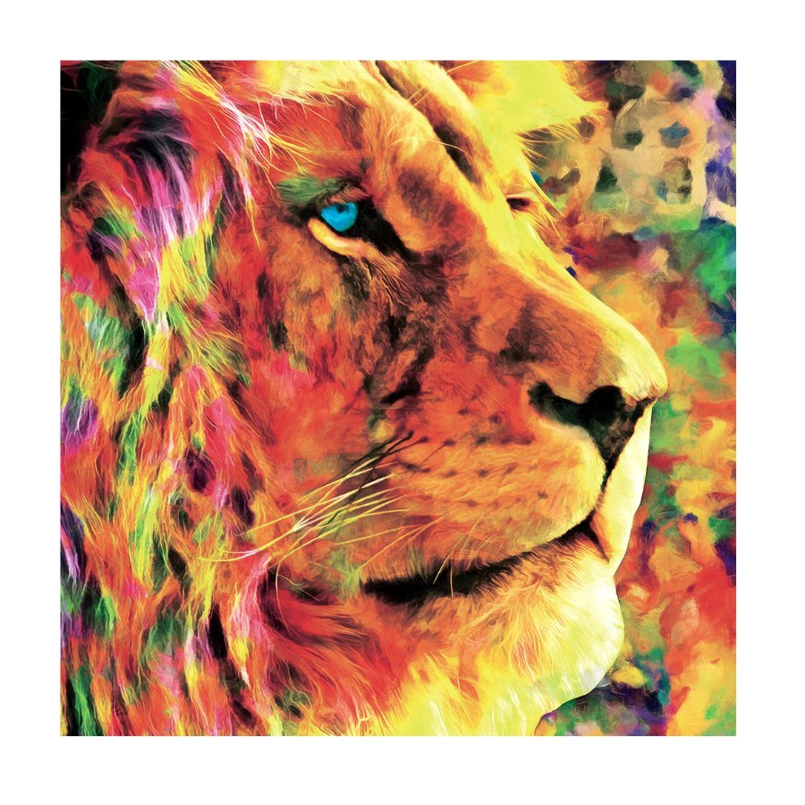 Lions Courage Crystal Art 30x30 Canvas 2