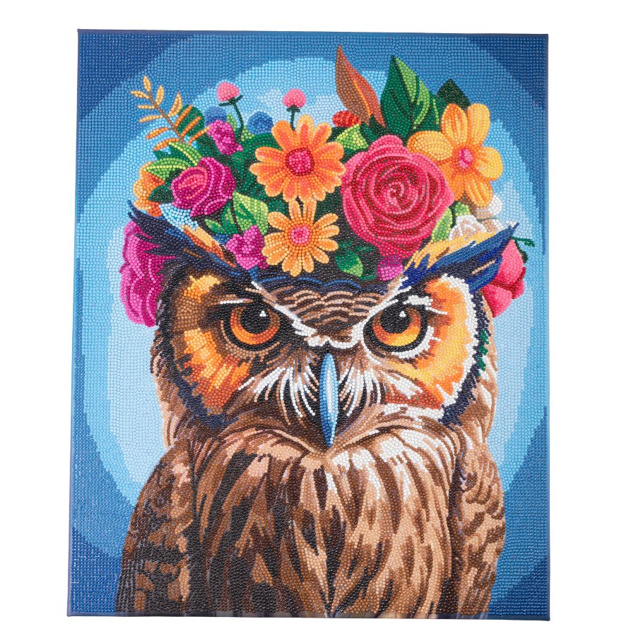 "Owl" Crystal Art Canvas Kit 40x50cm Front 
