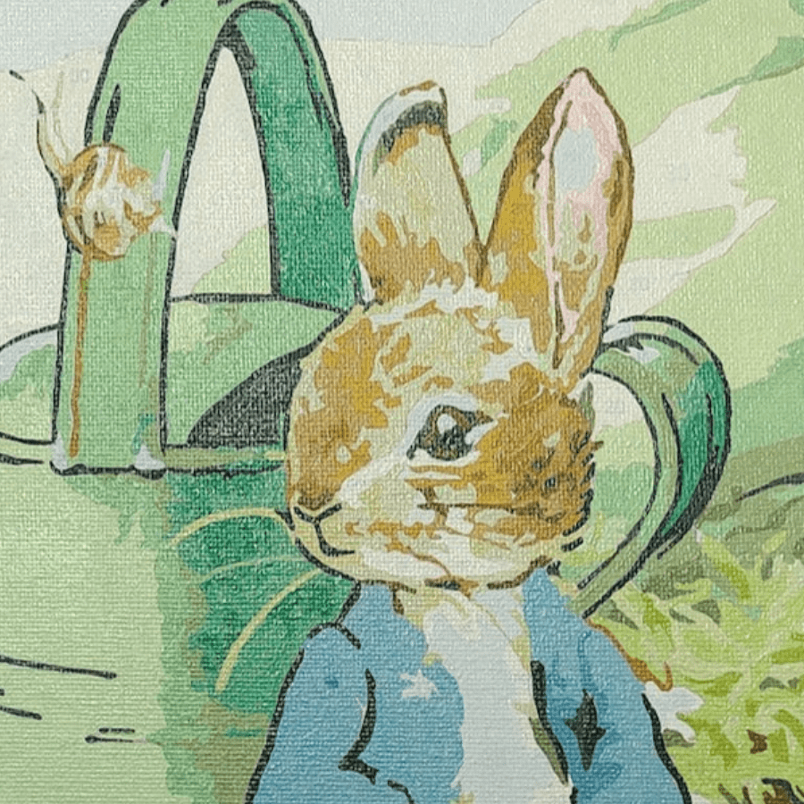 Peter Rabbit Robin 30x30cm Paint By Numb3rs peter