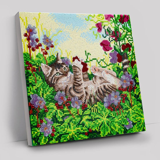 Playful Cat Art Kit 30x30cm