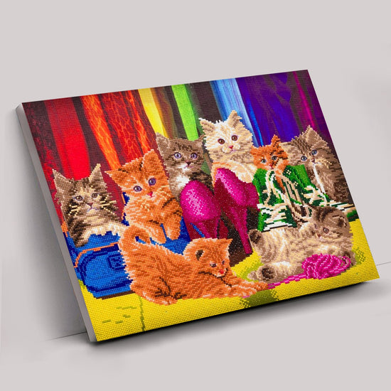 "Kitten Footware" Crystal Art Canvas Kit 40x50cm