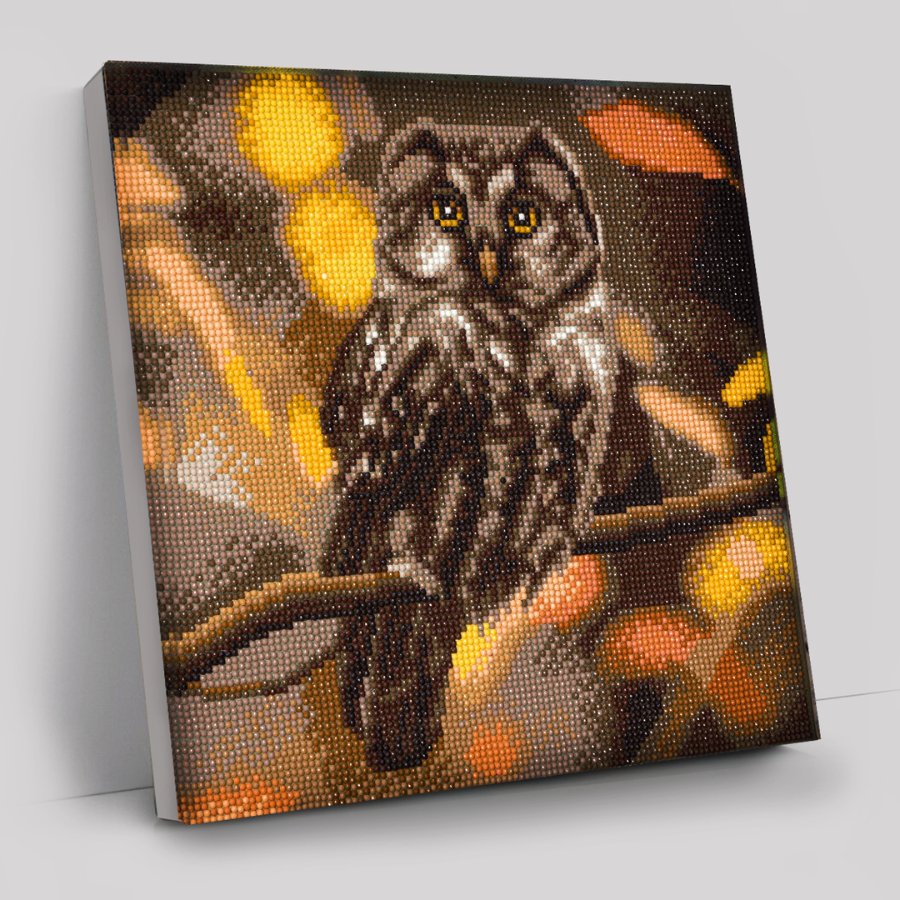 "Tawny Owl" Crystal Art Canvas Kit 30x30cm