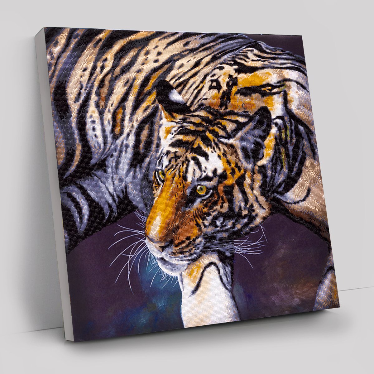 "The Tiger" by Claudia Hahn 70x70cm