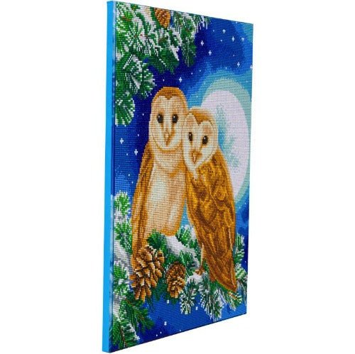 Moonlight Perch crystal art canvas kit side view