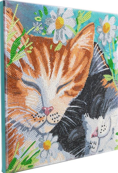 Sleepy cats crystal art kit side view