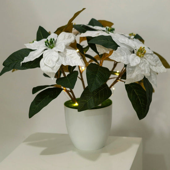 Forever Flowerz Poinsettia Plant Pot Kit - Finished Product